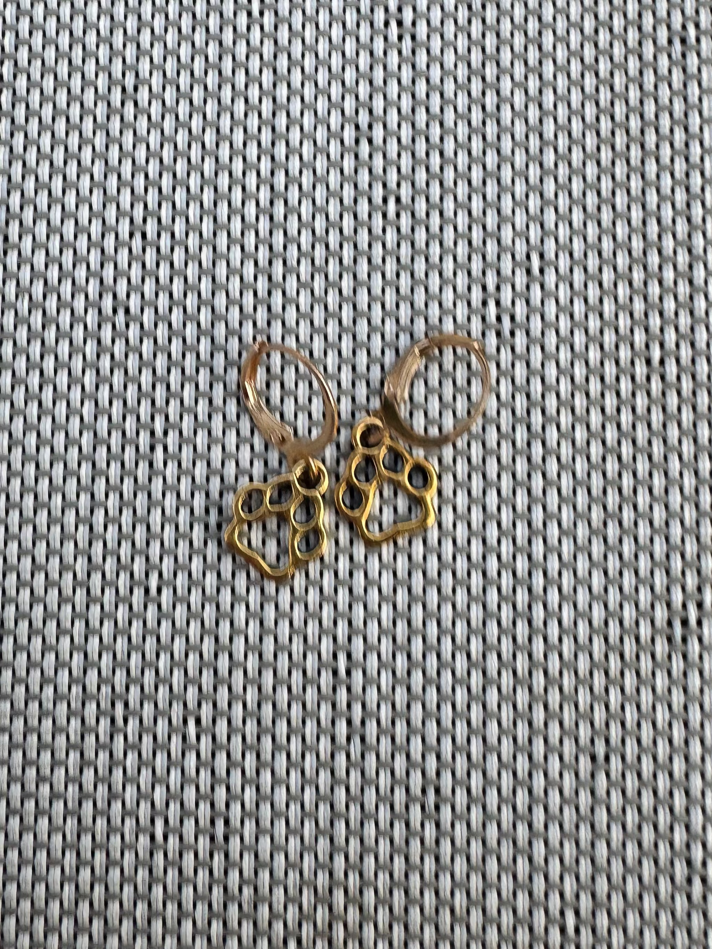 Golden Pet Print Huggies